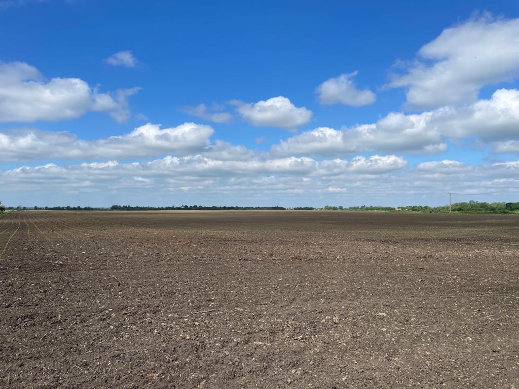 Lot: 76 - A DETACHED BUNGALOW FOR IMPROVEMENT AND REPAIR - View over fields/farmland to the rear oof the property